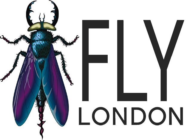 Fly London Fly London